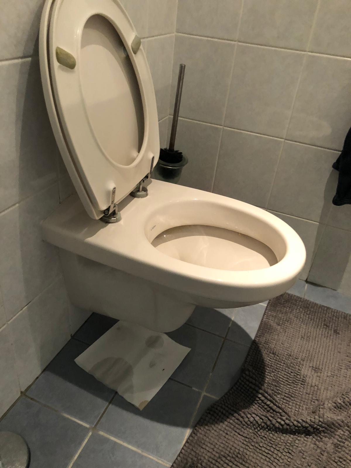 hangtoilet Rhoon
